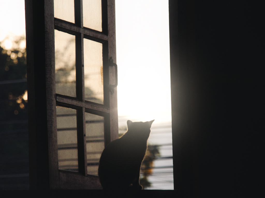 黒猫ジジのシルエットと吹き出しで話せない理由を表すイラスト